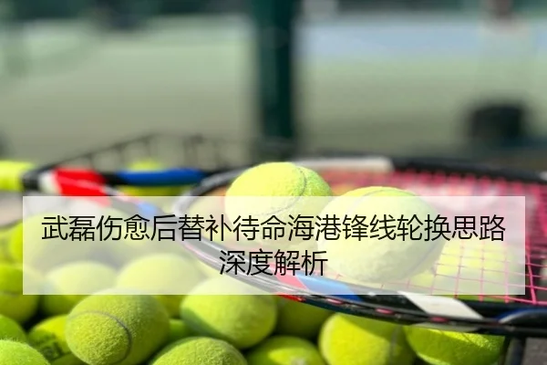 武磊伤愈后替补待命海港锋线轮换思路深度解析
